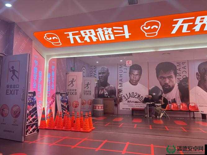 格斗纹章深度解析，无伤站位的策略艺术与实战探索