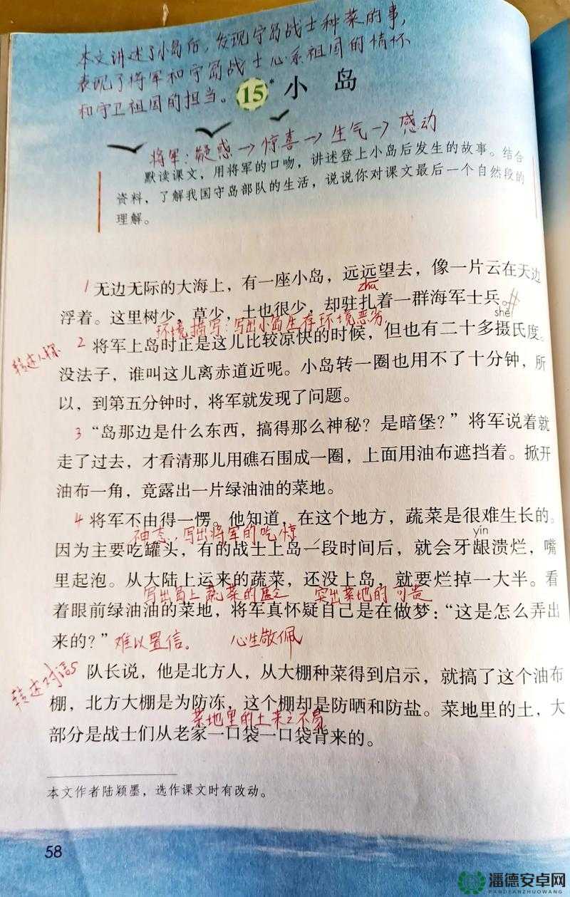 姜太公的小岛，全面剖析自由模式深度探索与独特特色