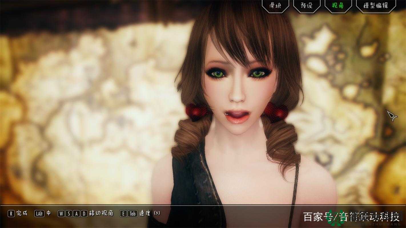 上古卷轴5游戏辣妹装MOD整合，掌握7个独立版MOD的高效资源管理艺术