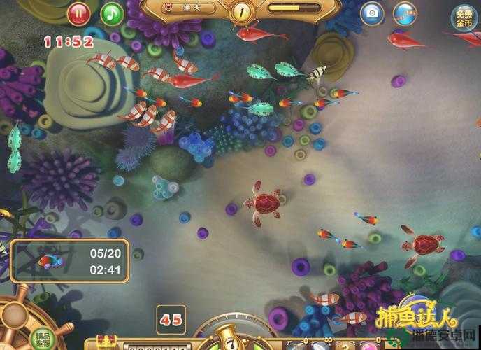 捕鱼达人游戏厅高手攻略，深度技巧解析与高效资源管理策略