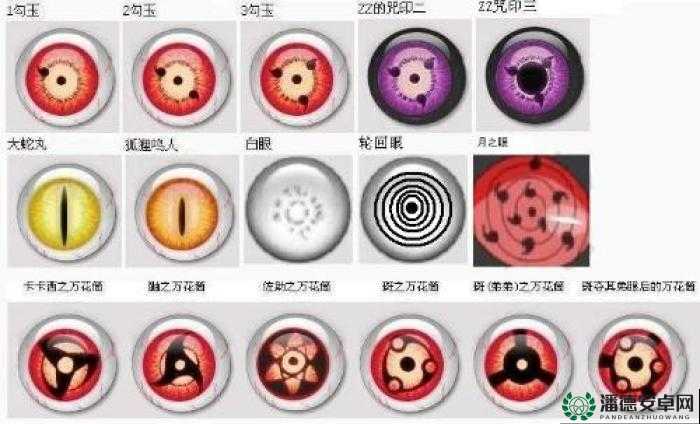 新火影驱动1.8版本，全面深度解析与五代水影的结婚方法与流程