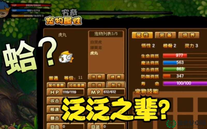 造梦西游3虎丸高效捕捉攻略及资源管理技巧全面解析
