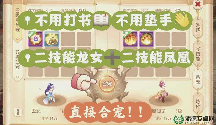 造梦西游3双人模式深度攻略，携手并肩共闯难关，捕捉萌宠秘籍大公开