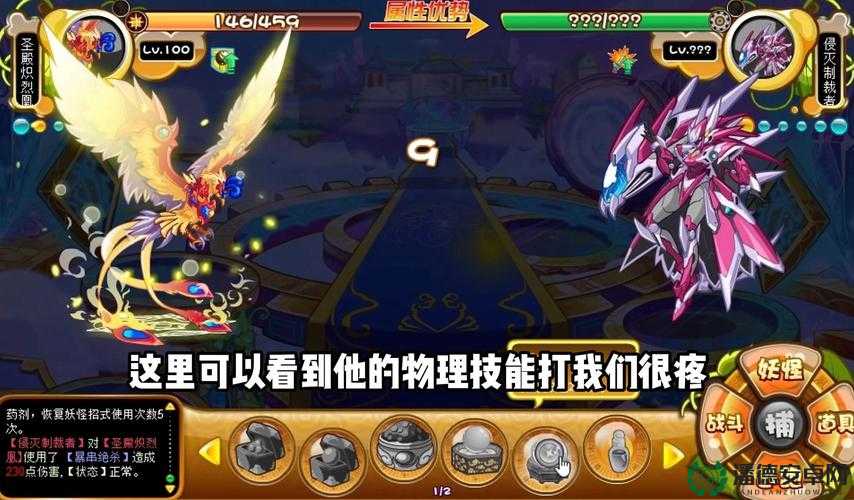 卡布西游傲天高效打法攻略与十方俱灭技能资料全方位深度解析