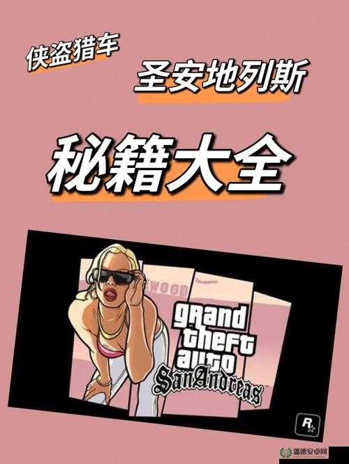 侠盗猎车手，圣安地列斯配置要求对资源管理的重要性及高效优化策略解析