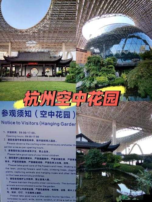 探秘城市中的隐秘绿洲，空中花园全方位打卡游玩全攻略