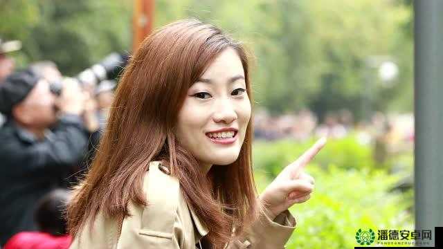 火熊猫英雄深度攻略，解锁全能战士的制胜之道与技巧精髓