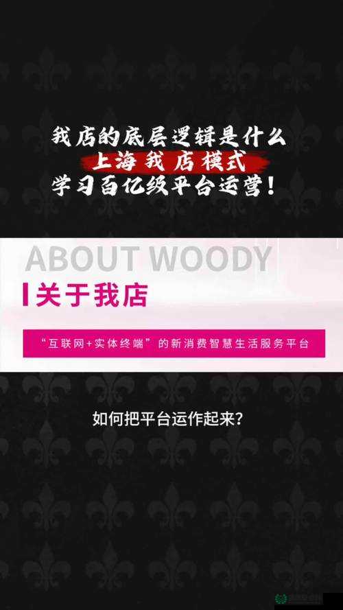 超级店长必备攻略，解锁高效店铺经营策略，迈向成功新境界