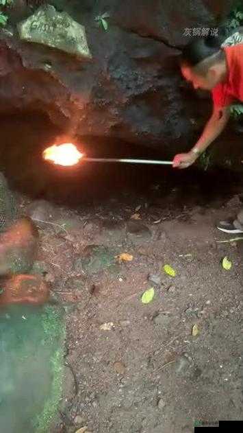 百度贴吧挖坟与爆吧现象深度解析，探索网络社区的独特生态与奇妙行为