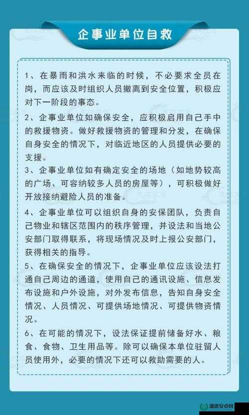 血雨无法显示字体问题的解决方案在资源管理中的重要性及其高效实施策略