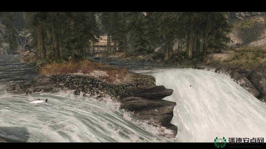 上古卷轴5，深入自由贸易协会，探索资源管理的精妙艺术与实战策略