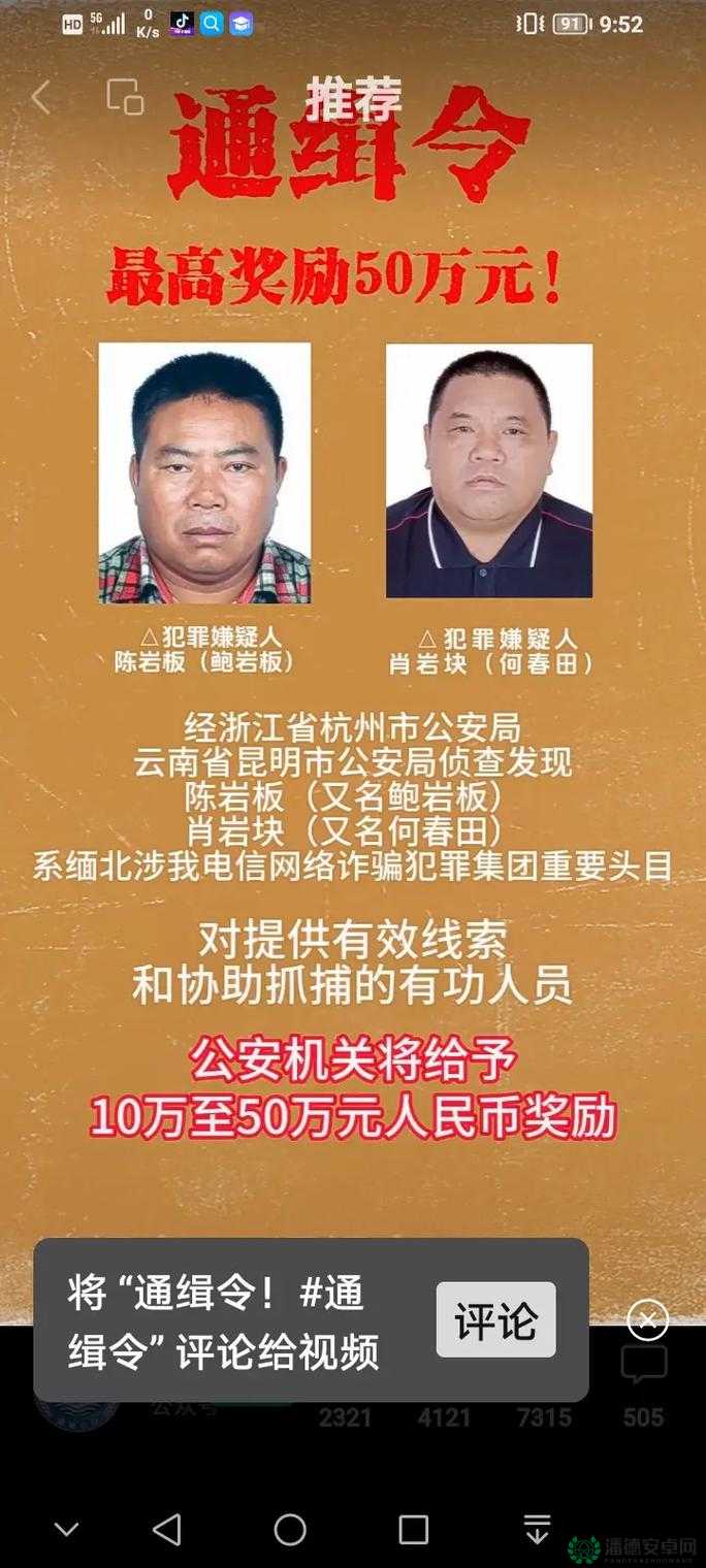 全面通缉游戏深度解析，操作技巧、策略与通关指南大全