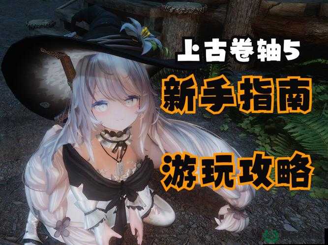 上古卷轴5高效升级秘诀，全面掌握快速练级攻略与技巧