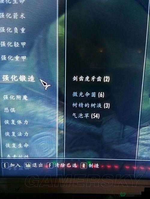揭秘上古卷轴5，详尽隐形药剂配方，助你探索天际世界的隐形奥秘