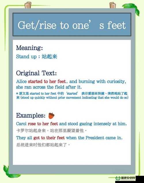 爱丽丝梦游仙境，全面揭秘无敌物品的获取与使用秘籍
