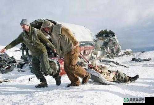 雪地极限挑战，生存-雪地求生2.0全面攻略与生存技巧解析