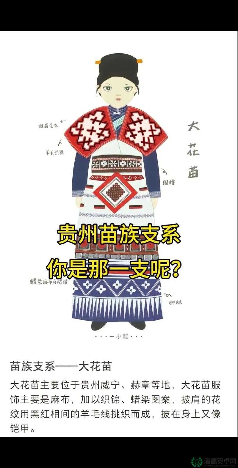 苗族 B 有啥区别：探究苗族不同分支之间的具体差异与特色
