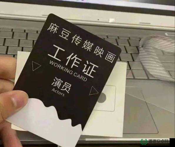 麻豆传煤入口免费进入2023：这是一个值得关注的重要信息