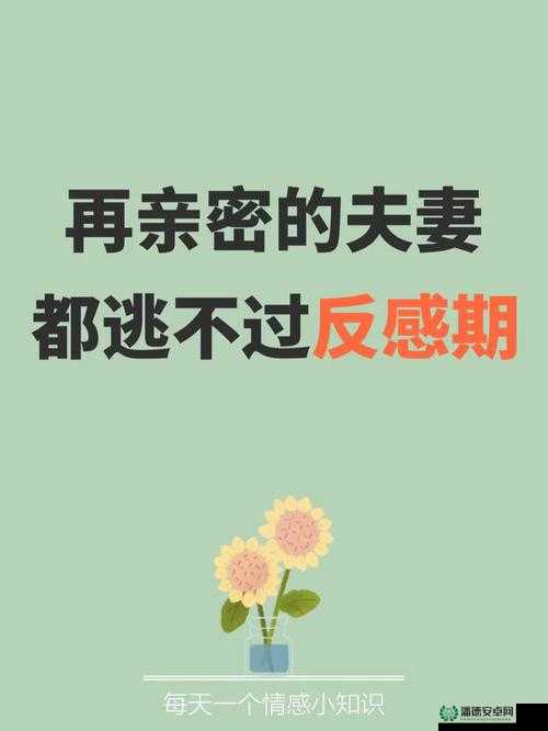 老公轻点舔：夫妻之间亲密行为的温馨提示与甜蜜瞬间