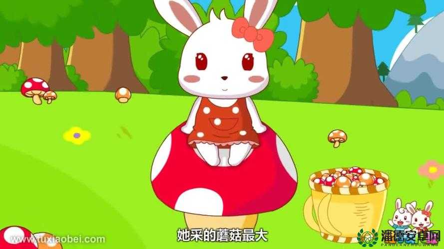 蘑菇视频嗯嗯啊啊啊：精彩刺激的独特呈现