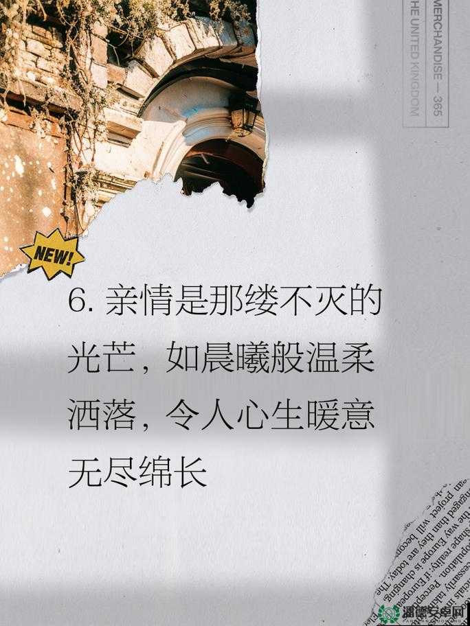 肉香满溢，亲情融融：一场别样的亲情盛宴