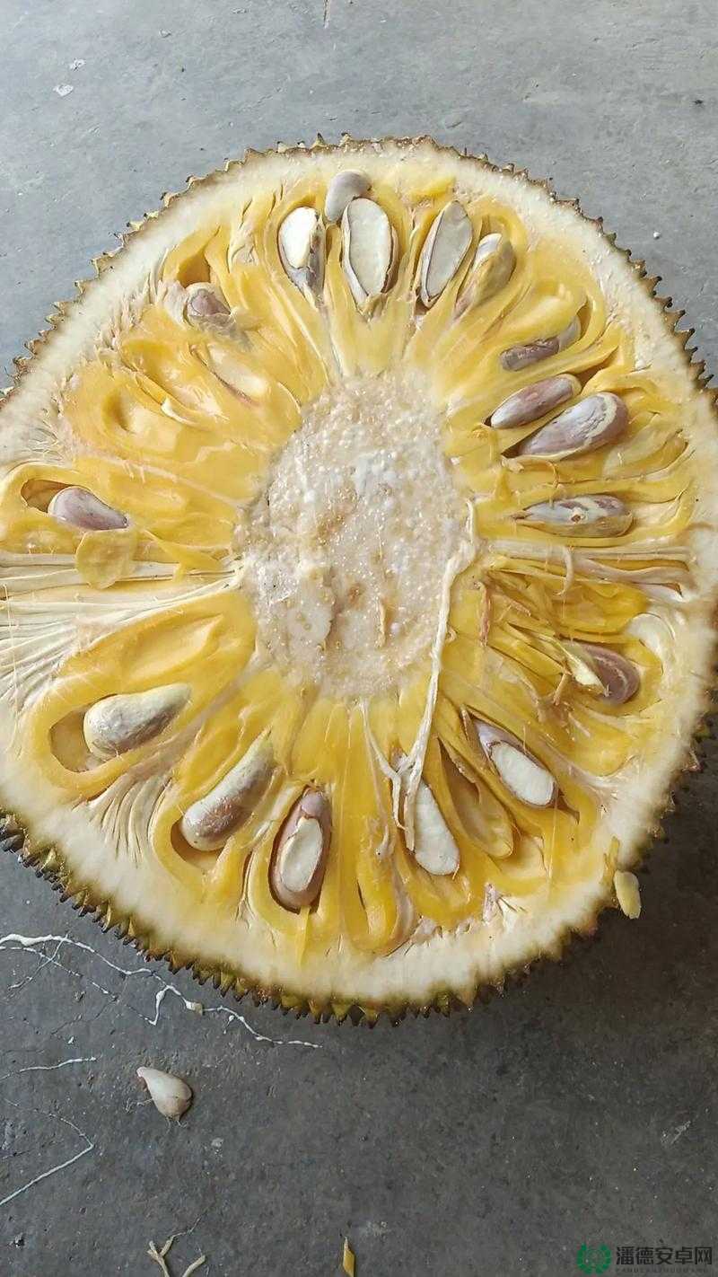 菠萝蜜视频在线观看大全高清：精彩内容不容错过