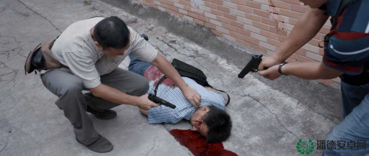 张警官撞玻璃视频大全：执法权威不容挑战
