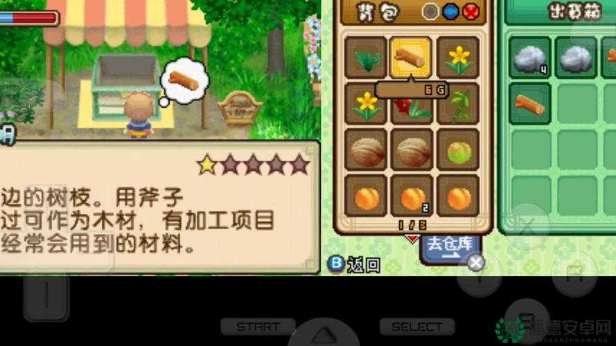 牧场物语双子村全捕鱼地点及资源管理高效策略指南