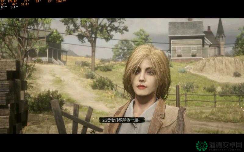 荒野大镖客 2 女警 mod ：带你领略西部女警的独特魅力与风采