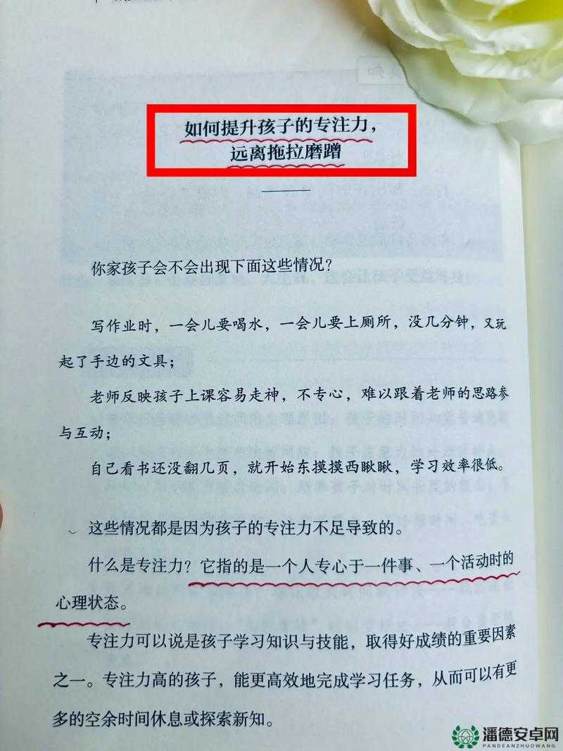陪读妈妈宋丹：一个为孩子倾尽所有的母亲