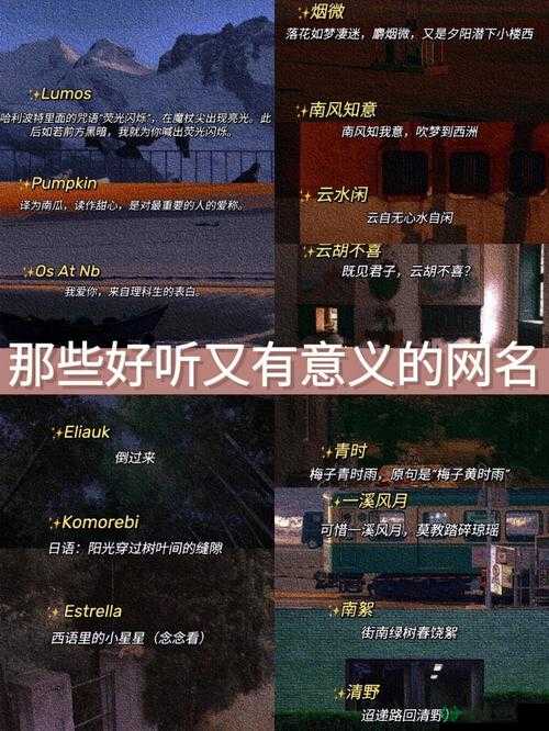 8x8x.io最新地域网名是啥：探寻其背后的独特含义与文化影响