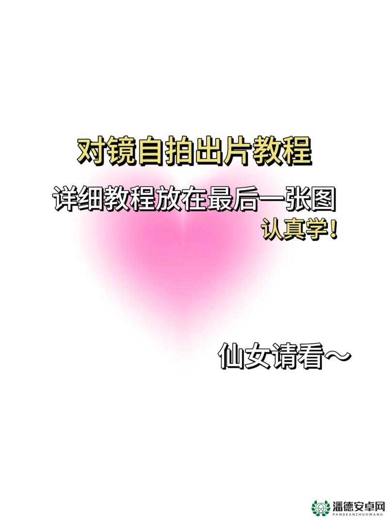 自拍第五页：关于这一页的详细分析与深入探讨