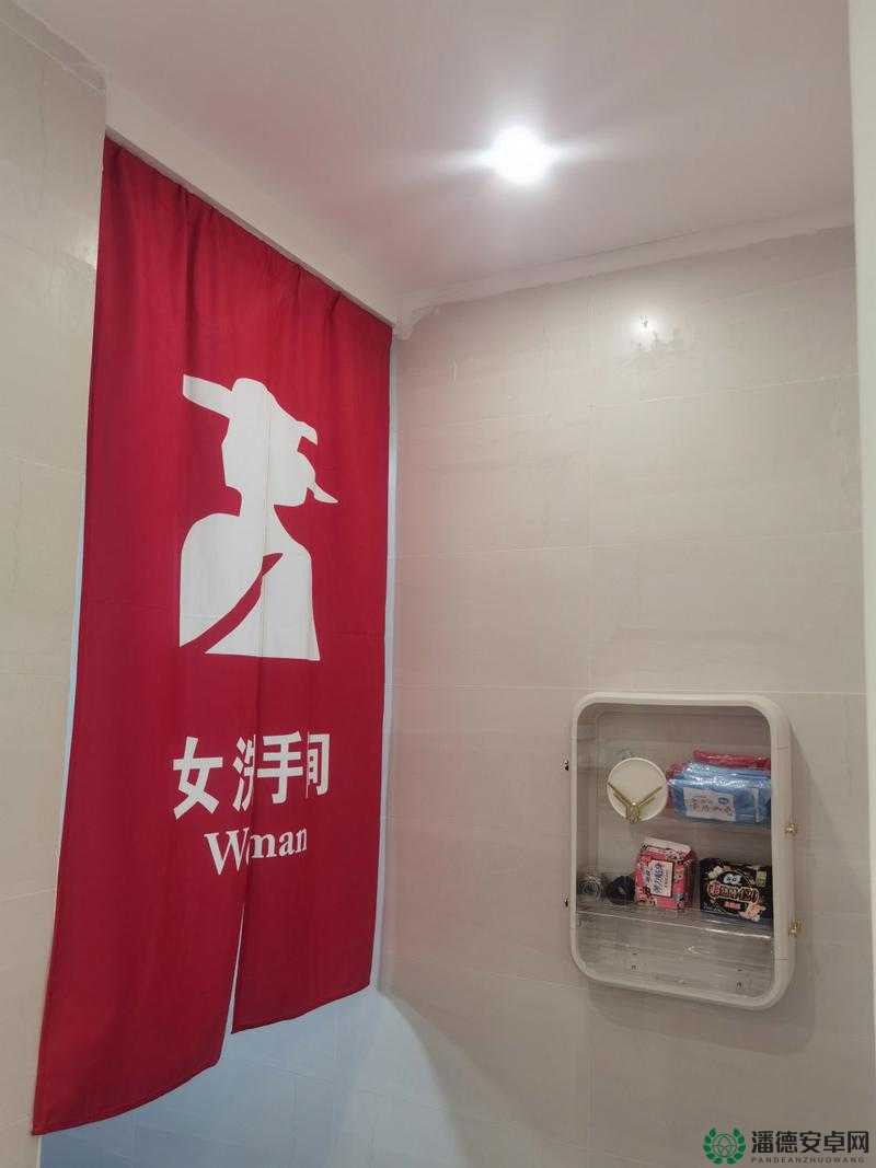 高清女厕：打造舒适便捷的女性专属如厕空间