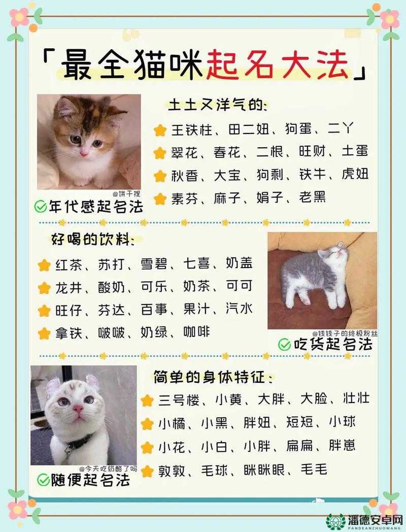 猫咪 www 最新地域网名怎么取 有哪些独特取名思路与方法探讨