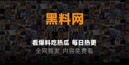 黑料不打烊 2024 最新入口：精彩内容等你来探寻