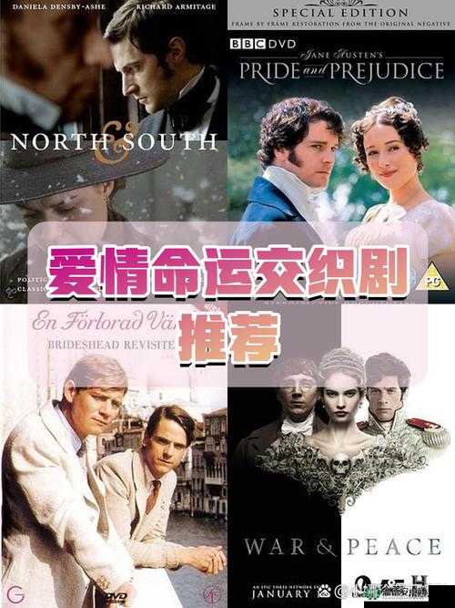 开局双飞宋倩董文洁：两位主角命运交织的精彩故事开启