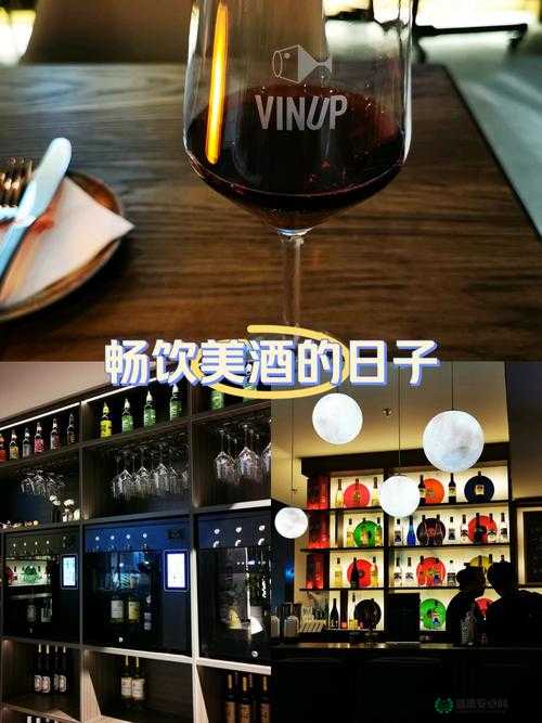 畅饮佳酿：品味美酒中的醇厚风情与无尽愉悦