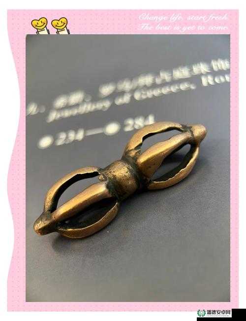 神秘的金刚杵进入圣洁的莲花：探索未知的奥秘