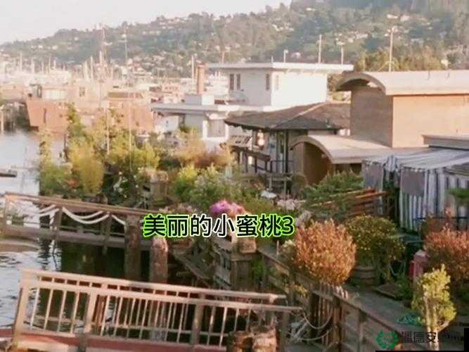 美丽小蜜桃韩国：探寻其独特魅力与文化内涵的深度之旅