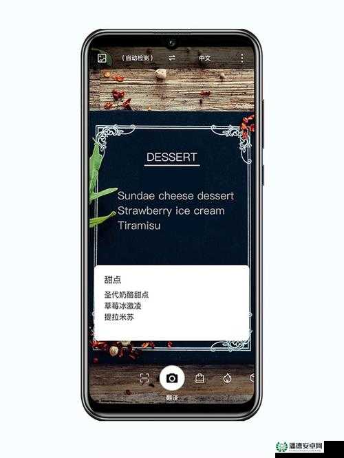 九 1 免费解锁版：畅享无限制的精彩应用