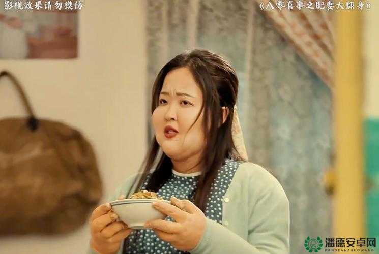 肥婆：家庭与爱情的挣扎