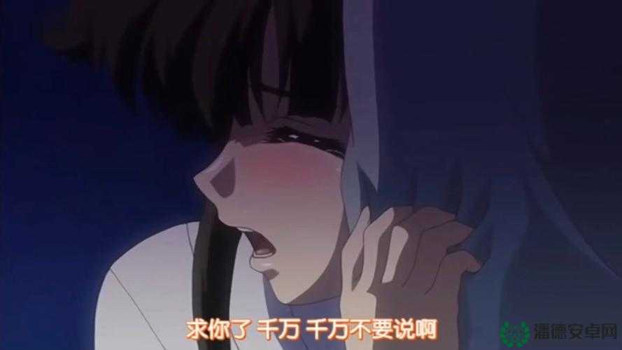 番号 stats804 在线观看：精彩内容不容错过