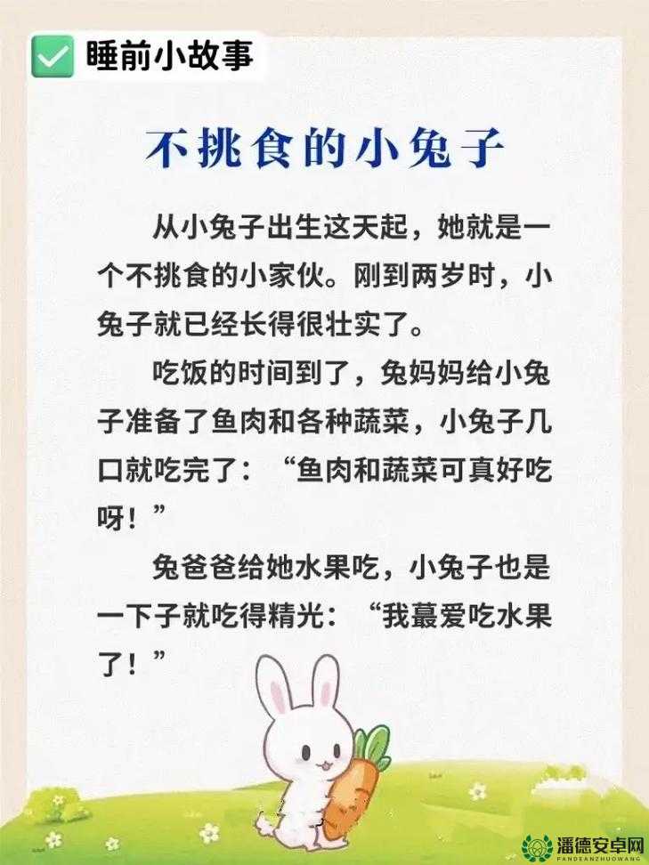 老师的大兔子：那只陪伴我们成长的温暖伙伴