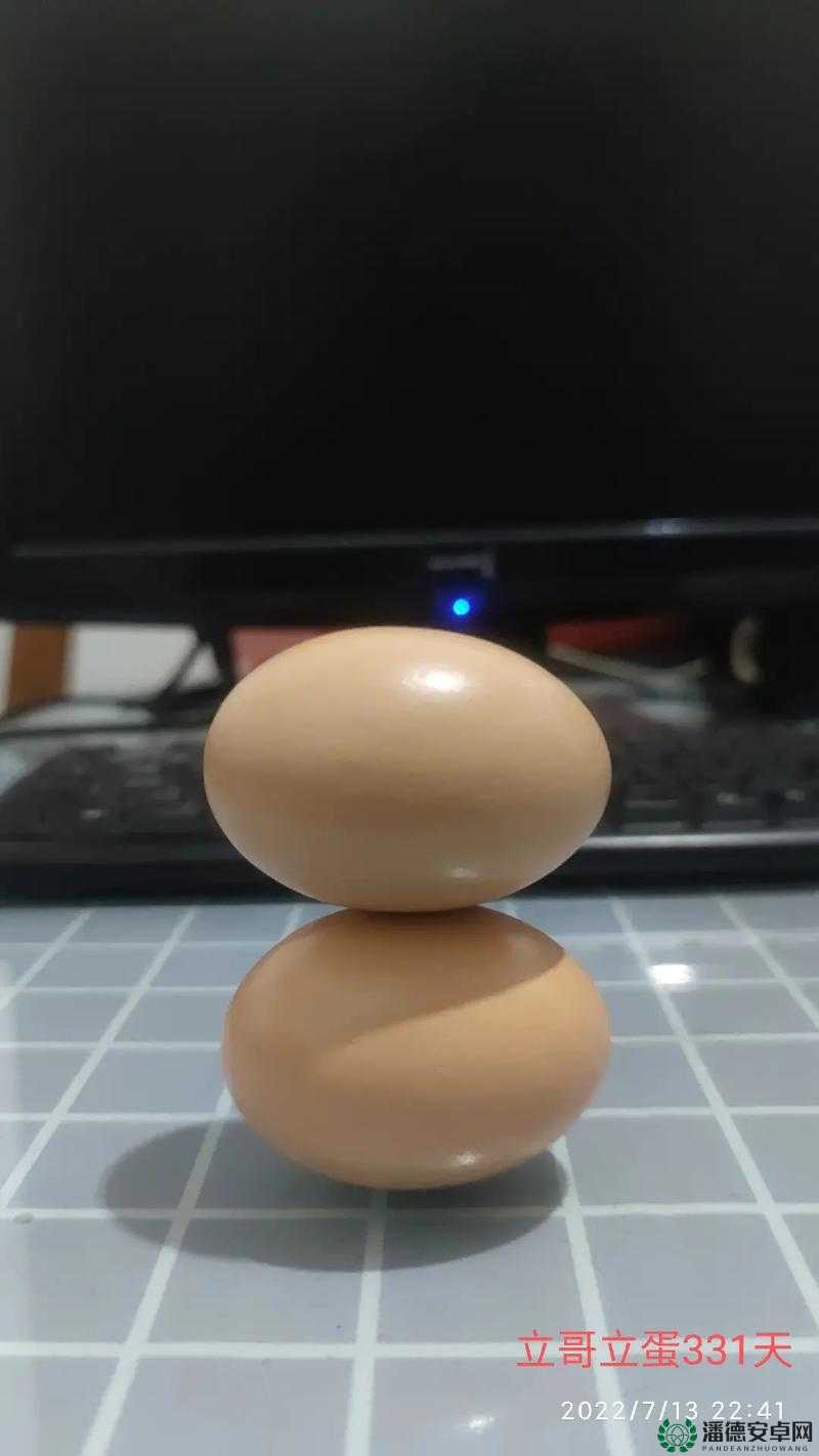 蛋蛋立起来究竟长什么样呢让人好奇不已