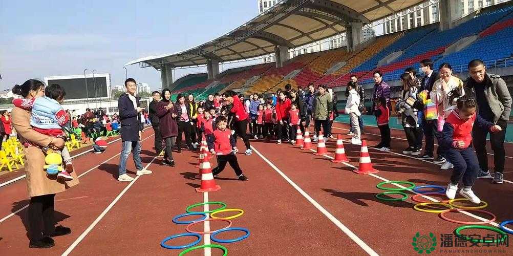 东方大运动会全面操作指南与高效游戏攻略详解