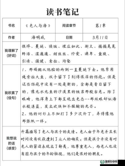 含苞待放周延镇莹莹谜：关于其背后的故事与意义探讨