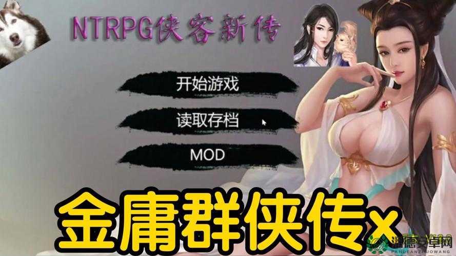 金庸群侠传之武林浩荡1.78版详尽全攻略，助你轻松称霸武林江湖