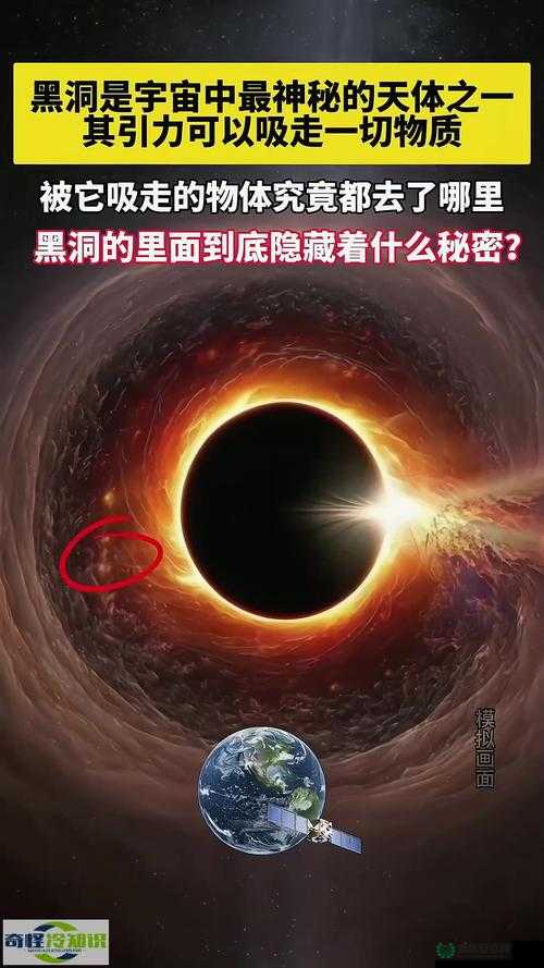又黑又大又长的神秘东西究竟是什么呢