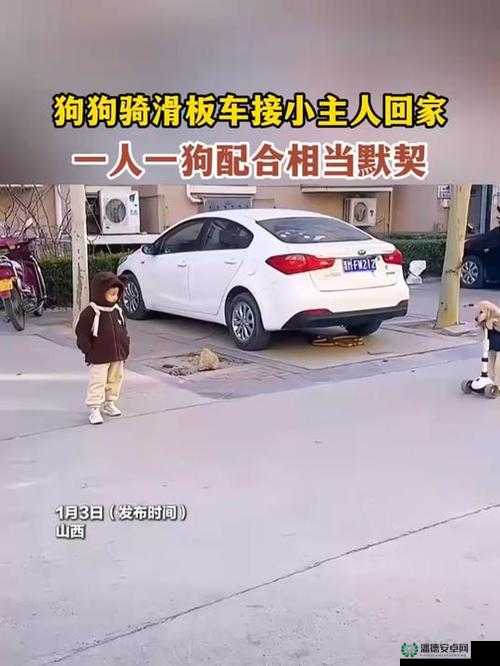 一人一狗被困六个小时，他们能否成功脱险
