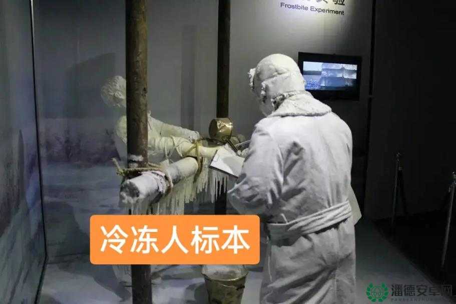 欧美人与牲口的交配视：探索文化差异与道德边界
